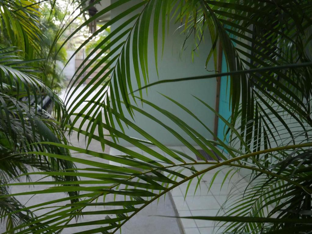 Fotografie z fotogalerie ubytování Cote Pacific Casitas v destinaci Huacas