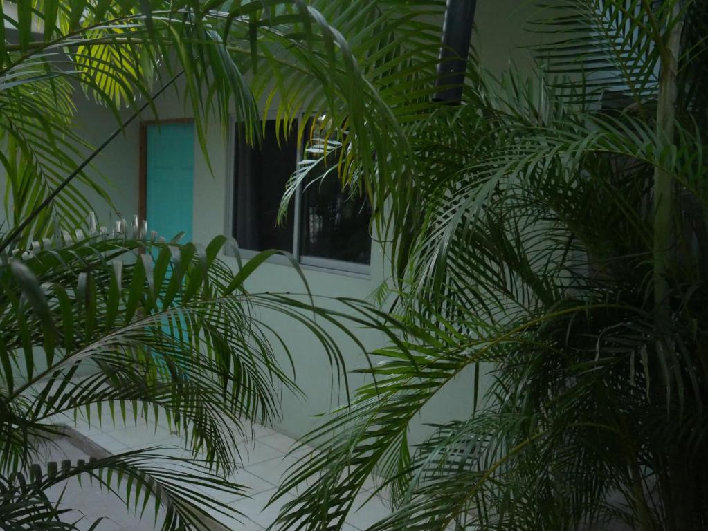 Zahrada ubytování Cote Pacific Casitas