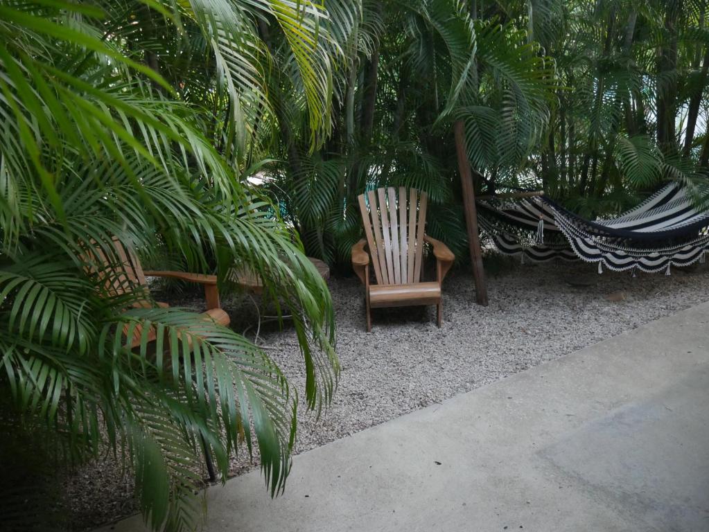 Zahrada ubytování Cote Pacific Casitas