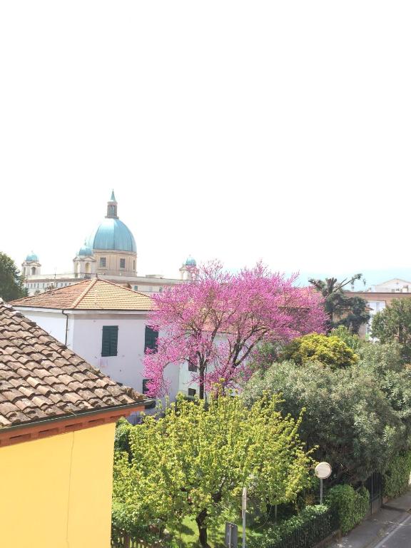 Fotografie z fotogalerie ubytování Hotel Stipino v destinaci Lucca
