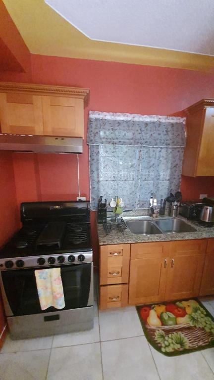 a kitchen with a stove and a sink at Caribbean estate deluxe 2 in Portmore