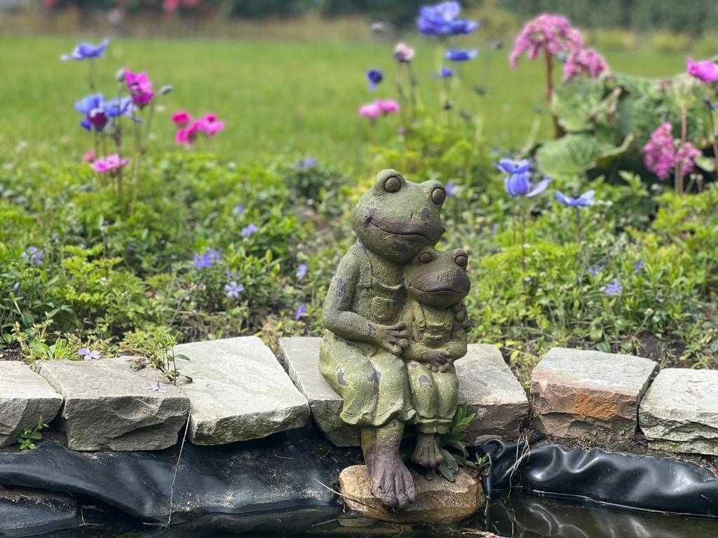 Zahrada ubytování Ikigai B&B - wellness