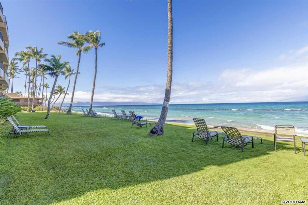 een groep stoelen op het gras bij de oceaan bij Wonderful Paki Maui by the Ocean in Lahaina in Lahaina
