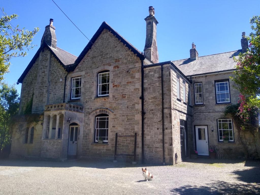 a cat sitting in front of a building at Treventon, 5 bedroom Unique Villa, near PADSTOW in Saint Columb Major