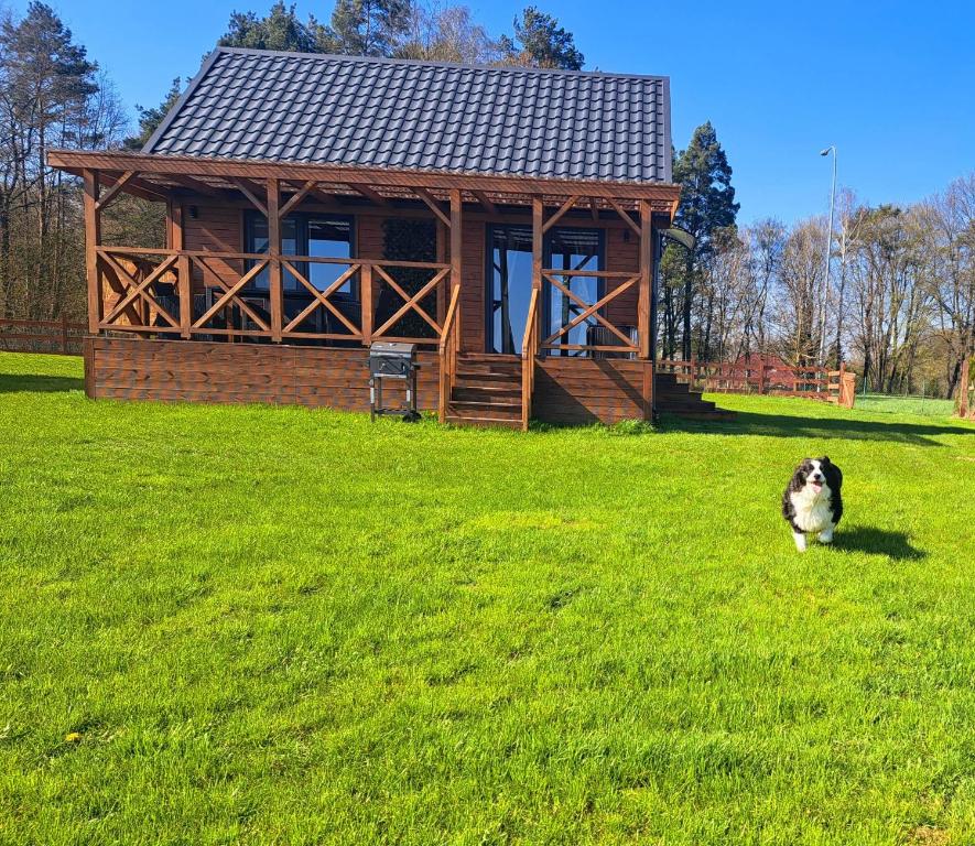 Vonkajšia záhrada v ubytovaní Domki Na Wzgórzu - domek nr 2