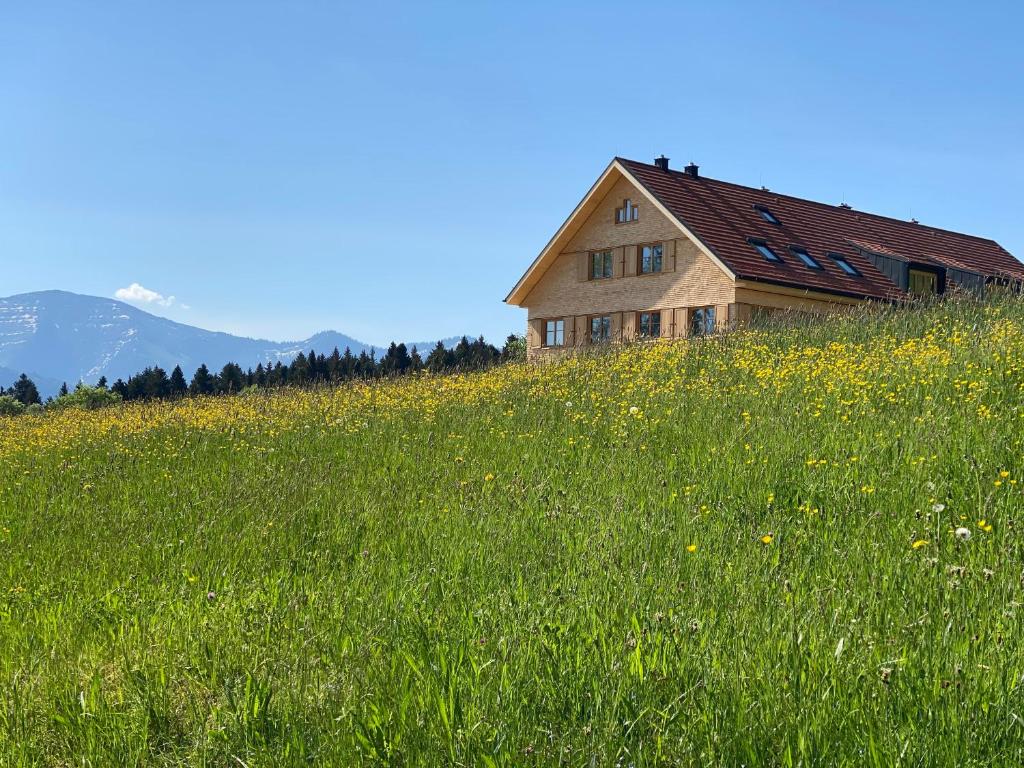 a house on a hill in a field of grass at Gähwindehof Mountain Ranch Resort in Oberstaufen