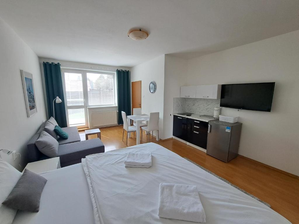 TV a/nebo společenská místnost v ubytování Apartmány EMMA