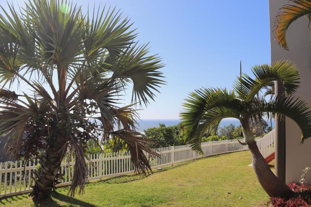 two palm trees in a yard next to a fence at Laguna la Crete 66 in Uvongo Beach