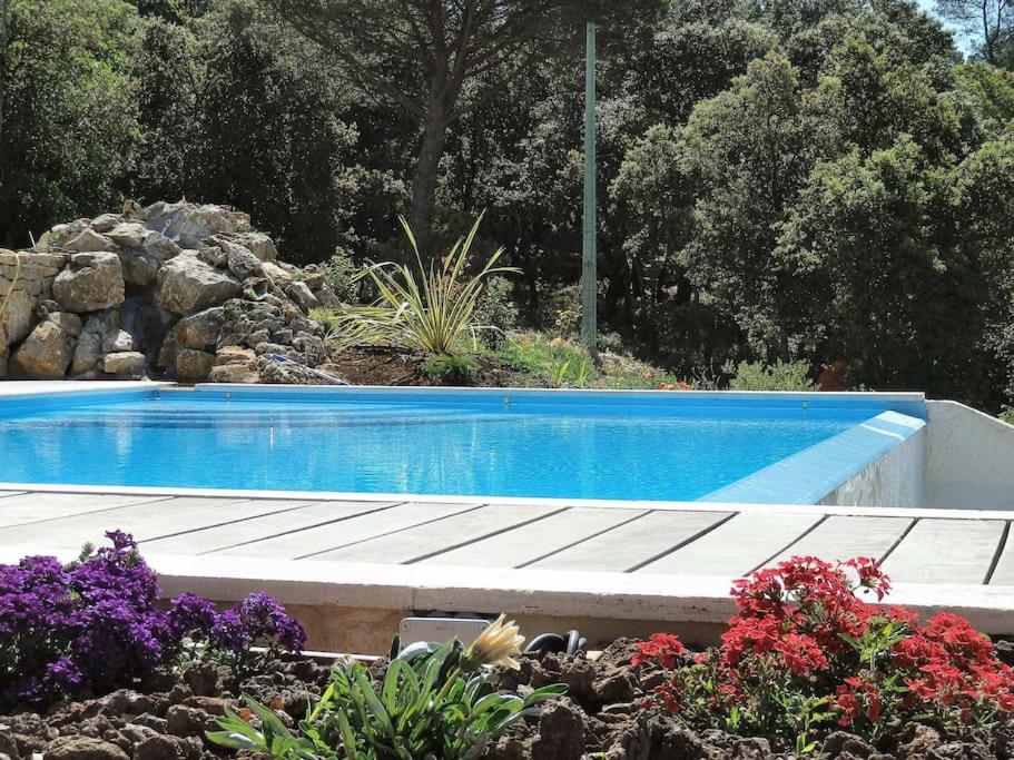 uma piscina azul num jardim com flores em T2 CALME + cadre verdoyant em Besse-sur-Issole