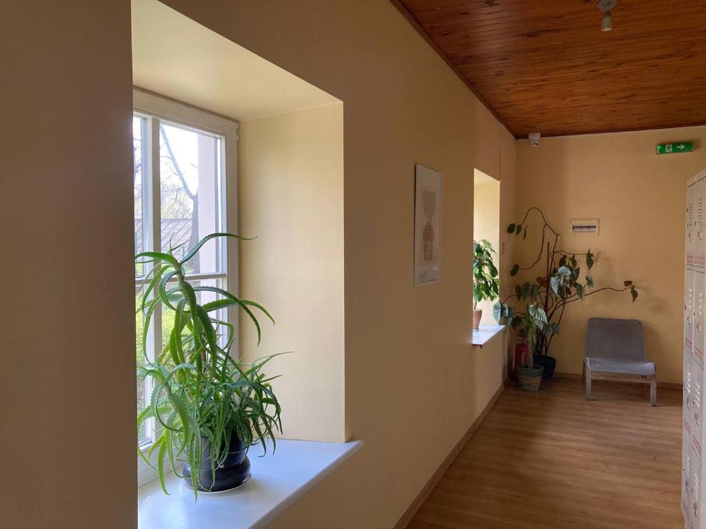 Fotografie z fotogalerie ubytování Hostel Filaretai v destinaci Vilnius