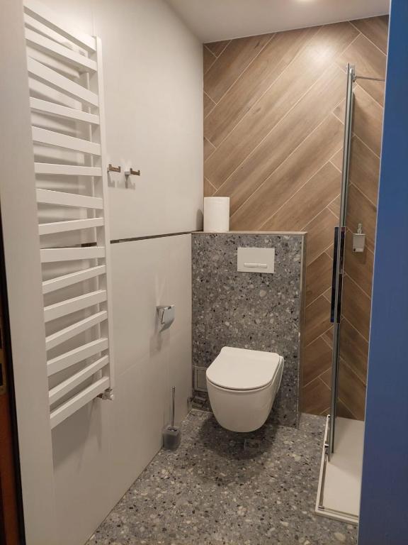 Szwajcarka Willa z sauną i jacuzzi - 18