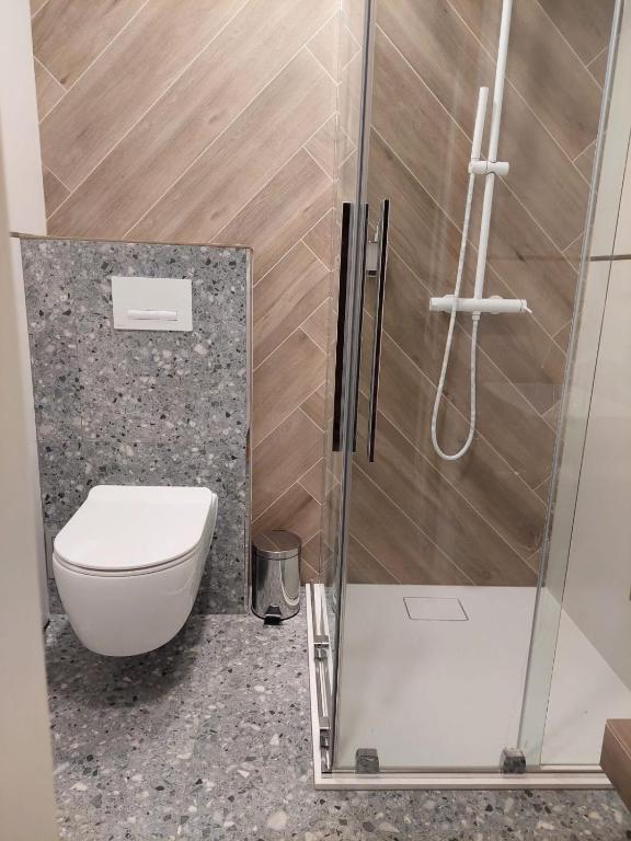 Szwajcarka Willa z sauną i jacuzzi - 12