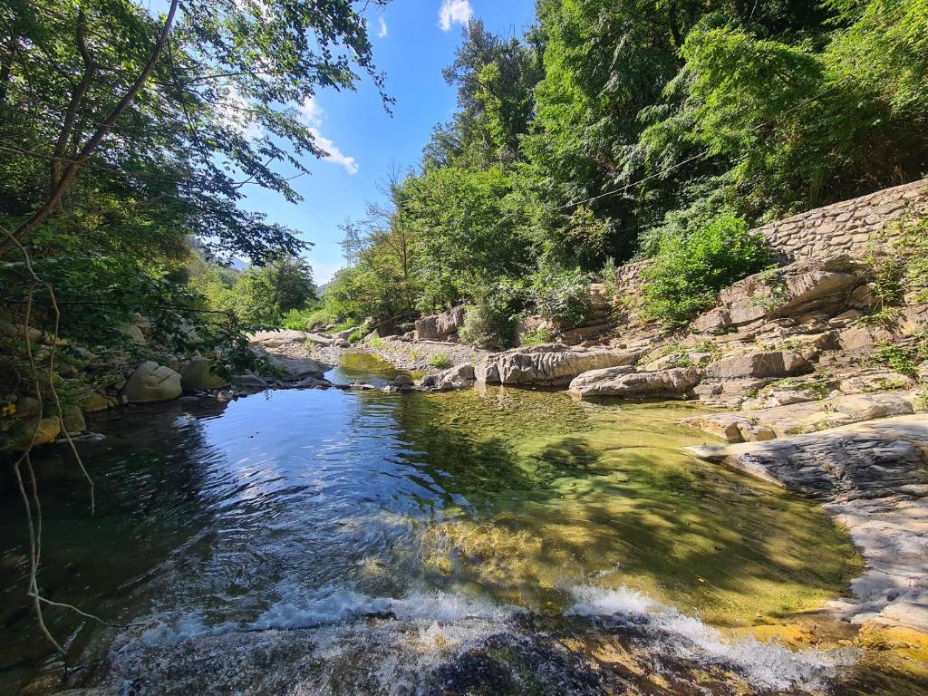 un río en un bosque con rocas y árboles en Sweet Home Appartamento 4 posti letto 10 min dal mare en Badalucco