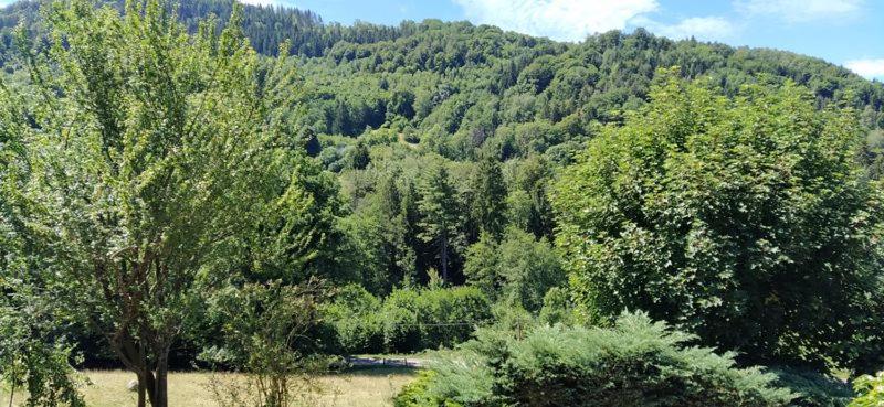 GITE DE CHARME PLEINE NATURE