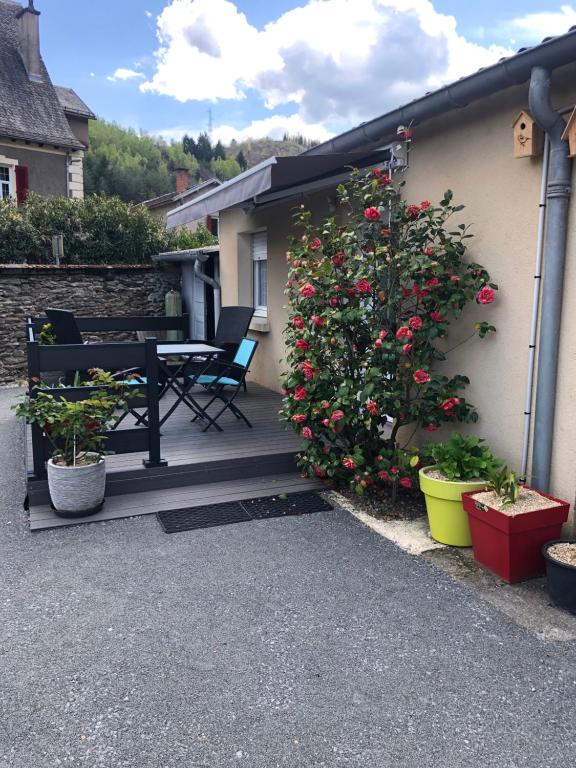 a patio with a table and a bush with flowers at Le Refuge d'Helix in Viviez