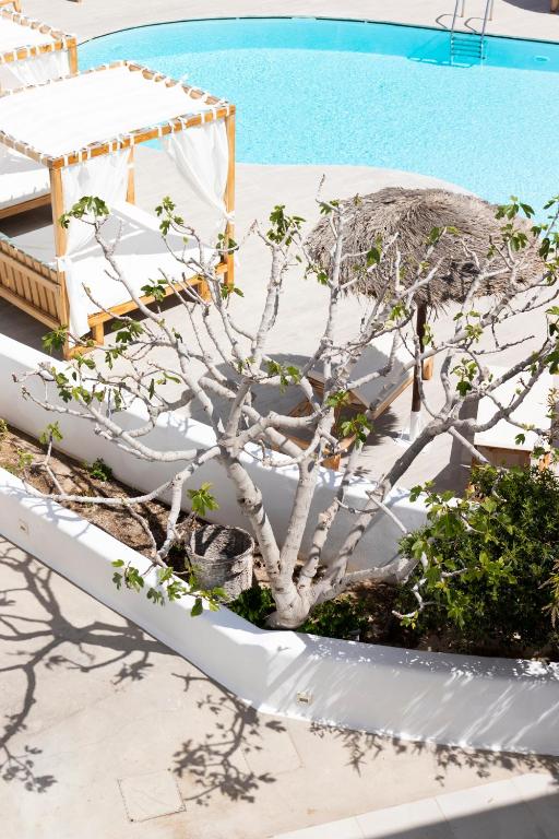 Bazén v ubytování Casa Vitae Suites nebo v jeho okolí