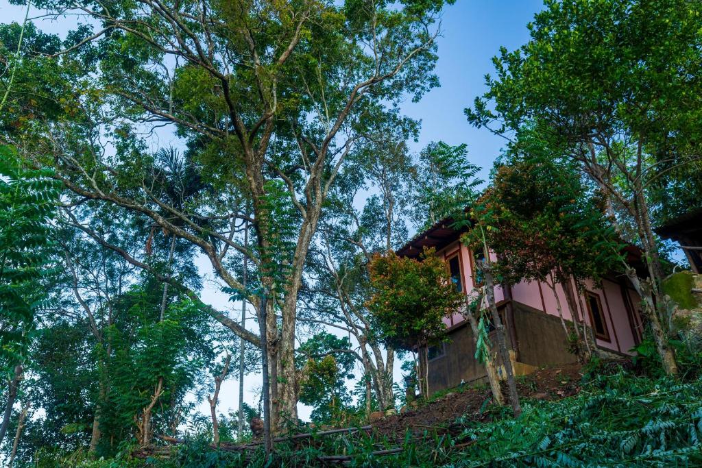 a house on a hill in the middle of trees at The Woods in Haputale