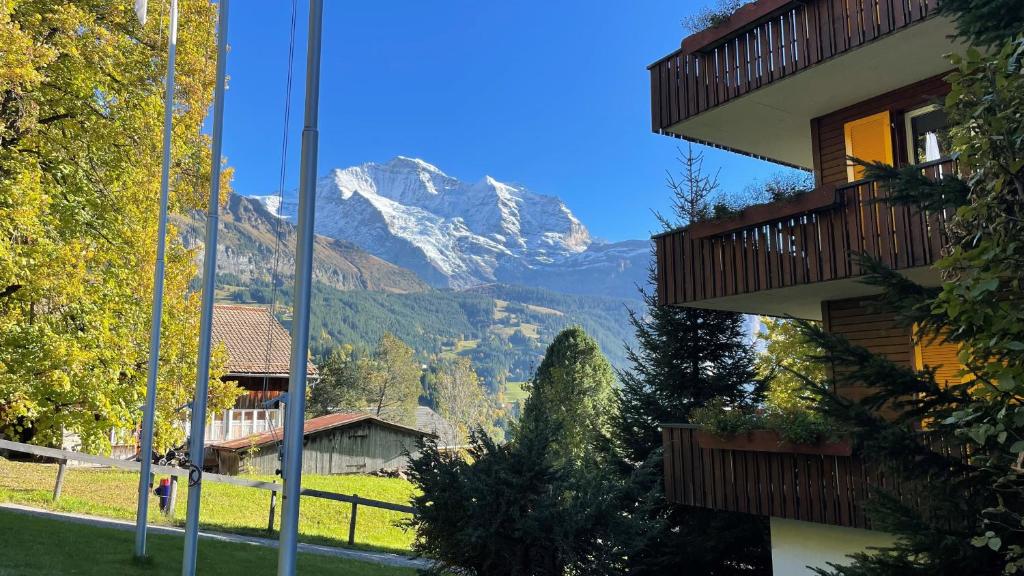 Nespecifikovaný výhled na hory nebo výhled na hory při pohledu z hotelu