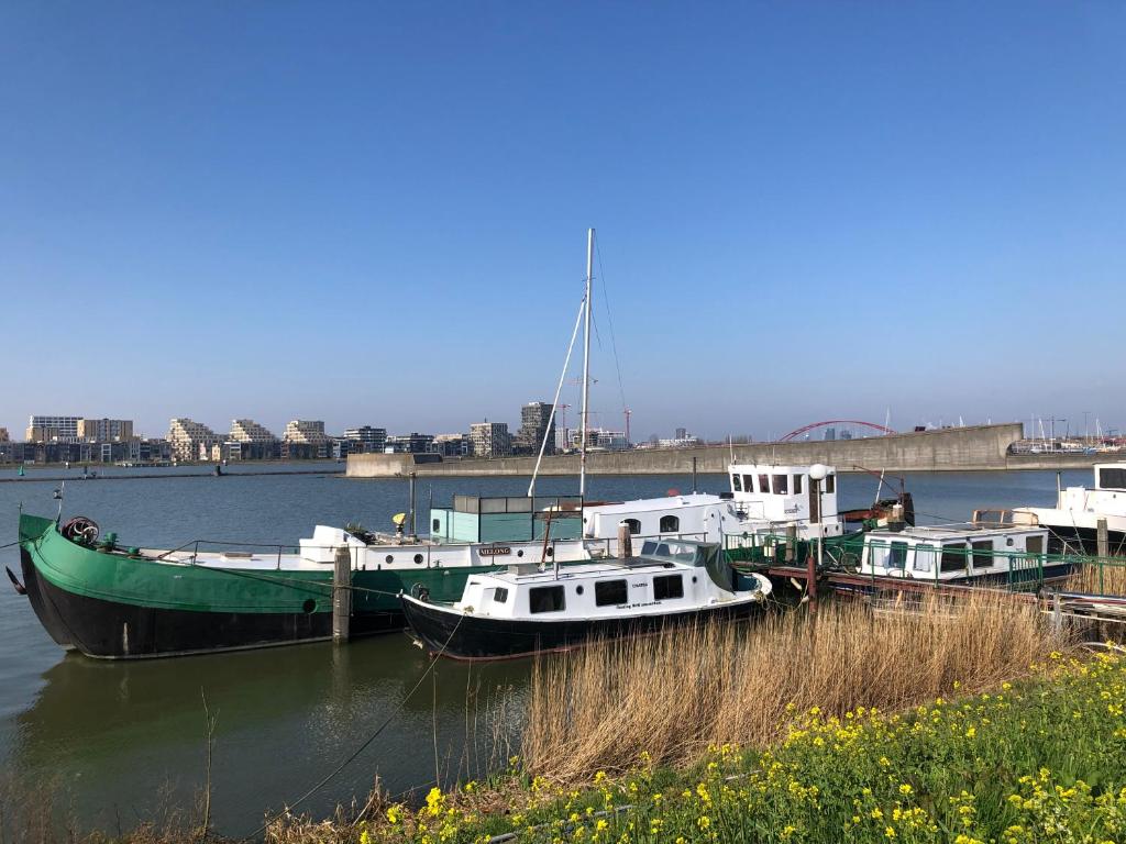 trois bateaux amarrés à un quai dans l'eau dans l'établissement Floating B&B Amsterdam, à Amsterdam