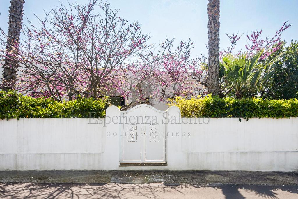 brama w białym płocie z drzewami w obiekcie Breezy Beach House w mieście Marina di Mancaversa
