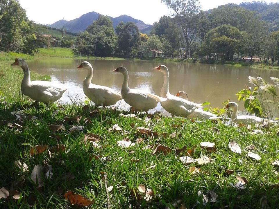  Pousada Sitio Bom Fim