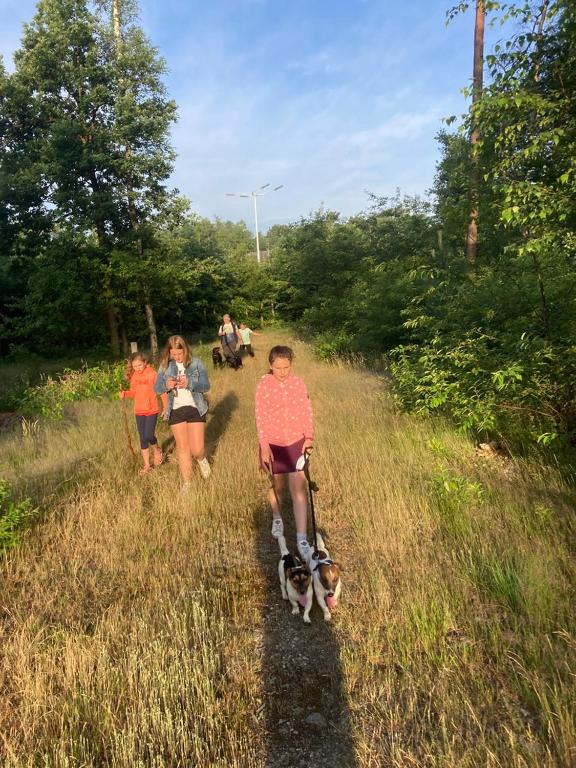 Hosté ubytování B&B Crijbohoeve