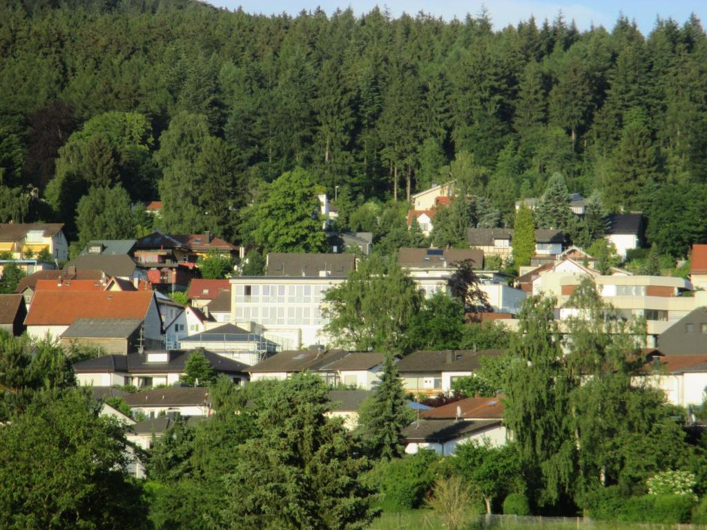 Příroda nedaleko hotelu