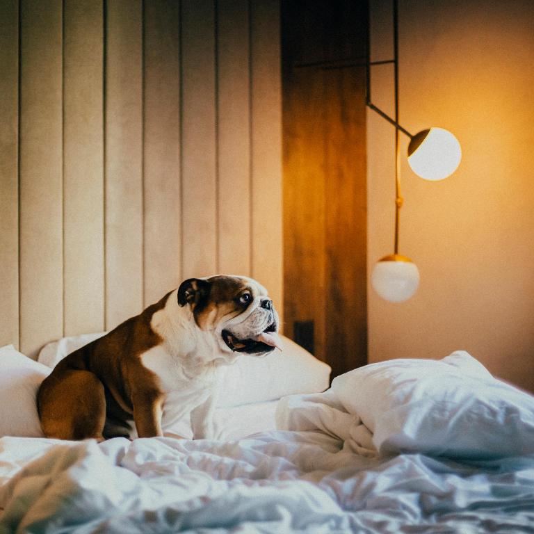 ICON Rosetó - Resim 40