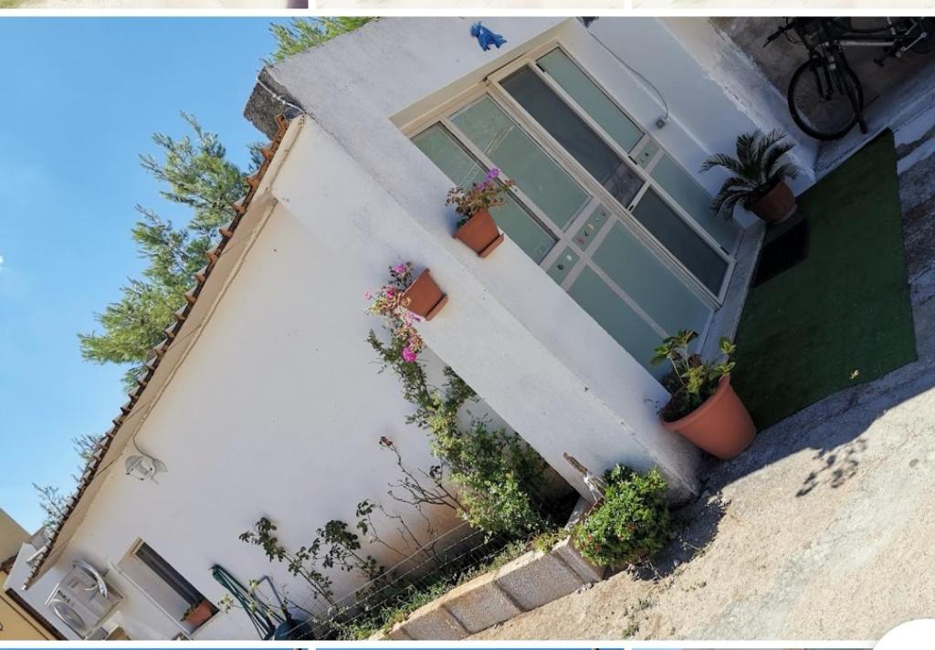 Casa Vacanze I Due Delfini - 度假屋