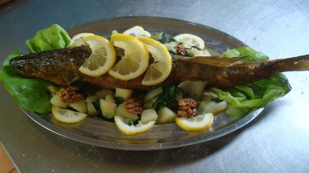 Studios Ravlić Marija - 16