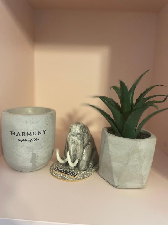 Fotografie z fotogalerie ubytování Harmony apartman v destinaci Donji Milanovac