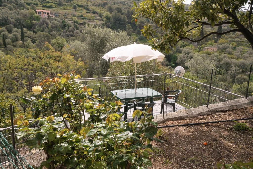 Paesaggio naturale nelle vicinanze dell'appartamento