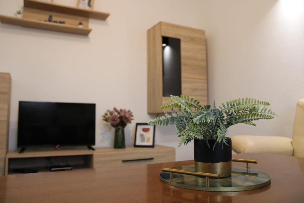 TV a/nebo společenská místnost v ubytování Apartman Villarossa