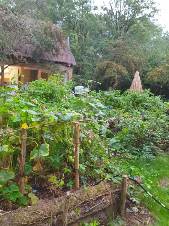 un jardin fleuri et une maison en arrière-plan dans l'établissement La Cabane, à Choussy