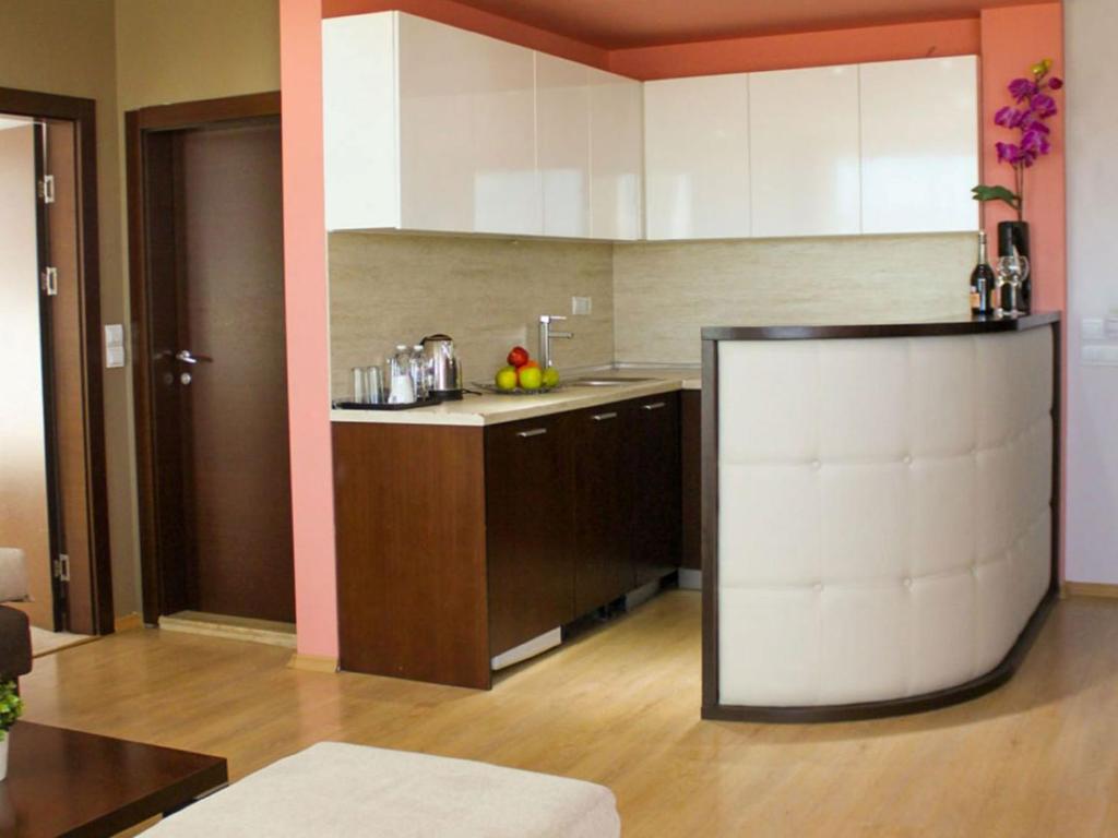 Kuchyň nebo kuchyňský kout v ubytování Hotel Dream