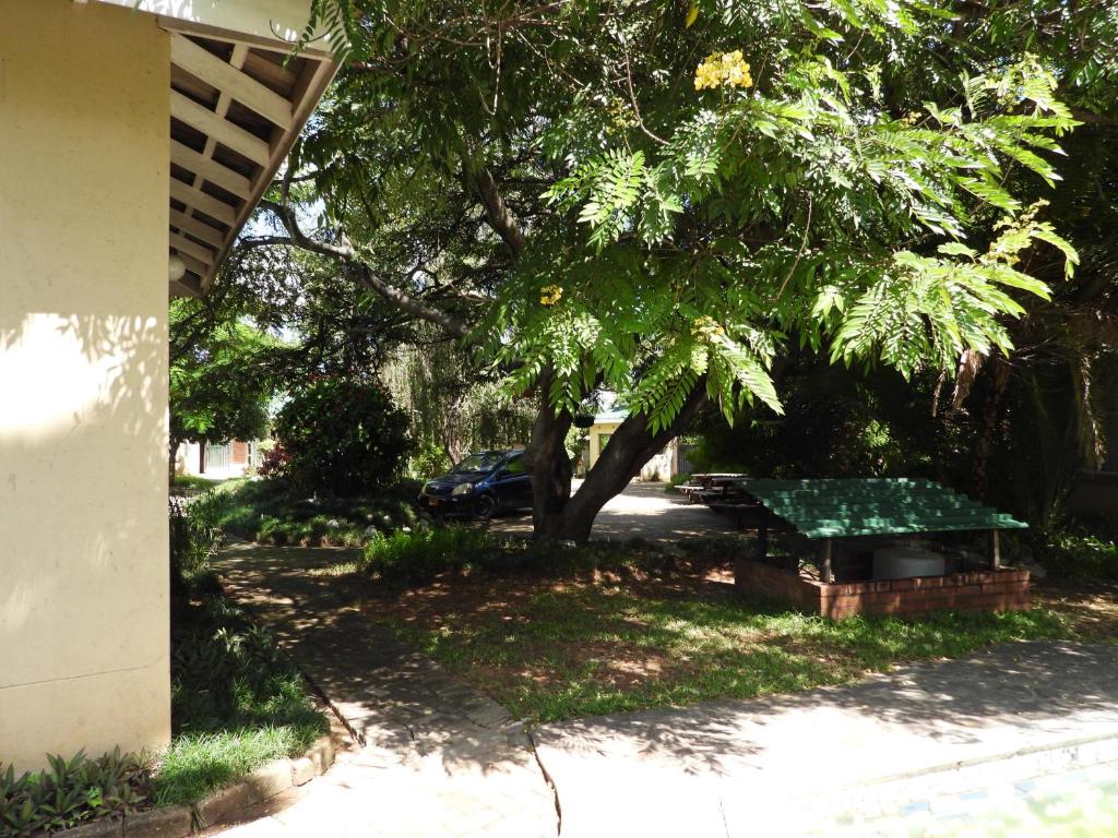 un tavolo da picnic sotto un albero in un cortile di 2 bedroomed apartment with en-suite and kitchenette - 2069 a Harare
