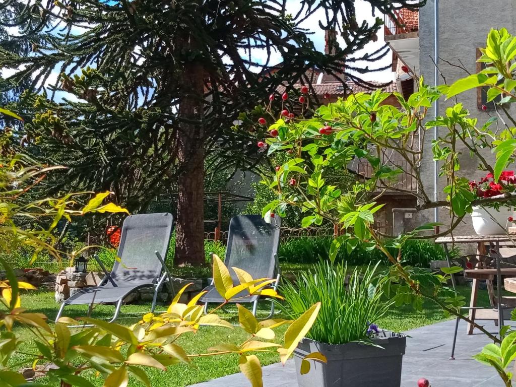 twee stoelen in een tuin met planten bij Il Giardino di Crès in Esino Lario