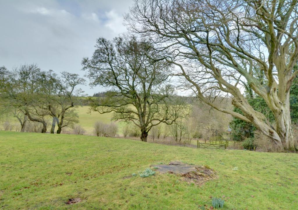 a grassy field with trees in the background at Well Cottage in Barham