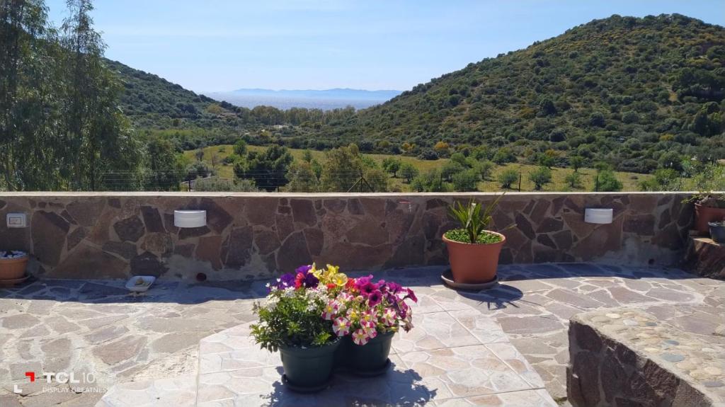 a patio with two potted plants and a stone wall at Villa Quattro Archi in Geremeas