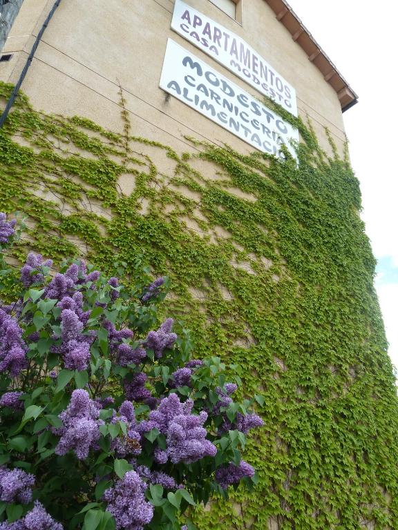 Jardín al aire libre en Apartamentos Casa Modesto