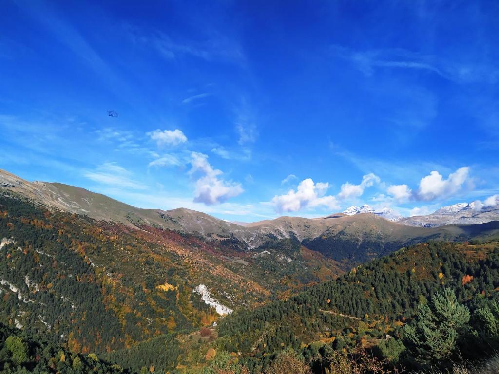 Paisaje cerca de este apartamento