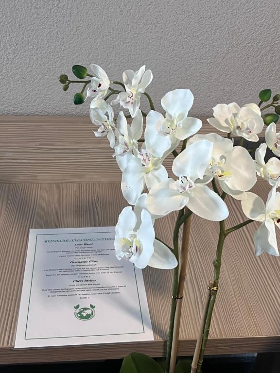 The River Village - Resim 41