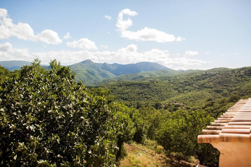 Fotografia z galérie ubytovania Les Jardins de Lacamp, un paradis en sud Cévennes v destinácii Roquedur