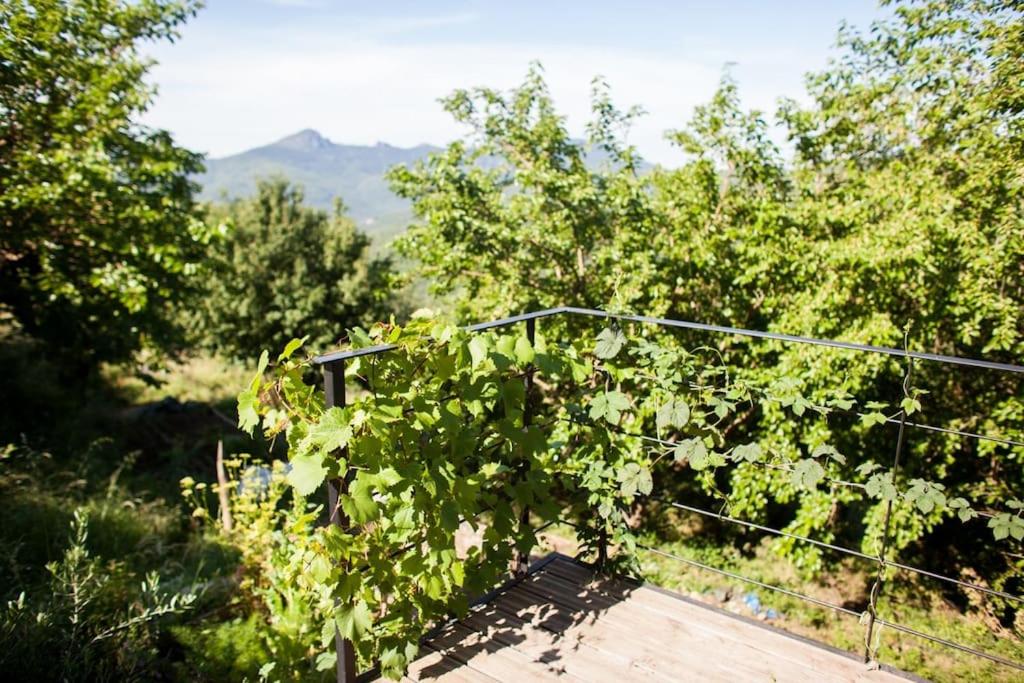 Fotografia z galérie ubytovania Les Jardins de Lacamp, un paradis en sud Cévennes v destinácii Roquedur