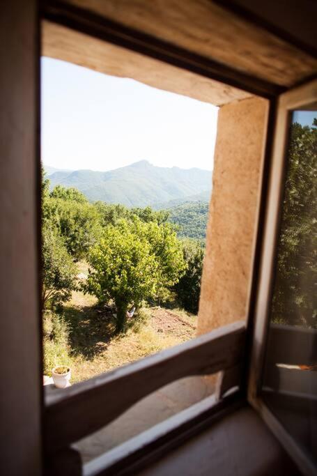 Fotografia z galérie ubytovania Les Jardins de Lacamp, un paradis en sud Cévennes v destinácii Roquedur