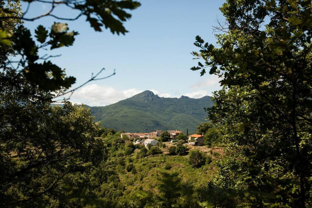 Fotografia z galérie ubytovania Les Jardins de Lacamp, un paradis en sud Cévennes v destinácii Roquedur