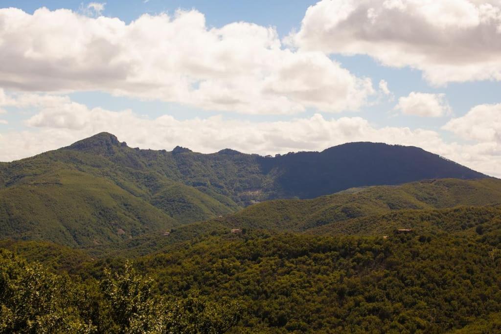 Fotografia z galérie ubytovania Les Jardins de Lacamp, un paradis en sud Cévennes v destinácii Roquedur