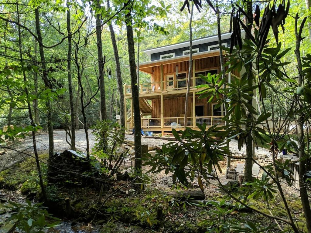 una casa en medio del bosque en Beech Creek Cabin, Black Mountain, en Black Mountain