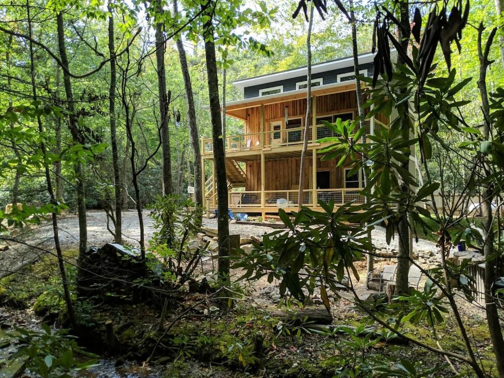 Κήπος έξω από το Beech Creek Cabin, lower unit, Black Mountain