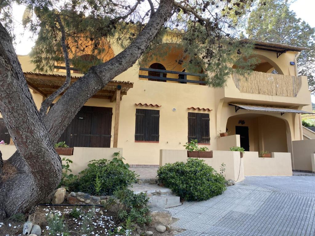 una casa con un árbol delante de ella en Villa Bonu, en Torre delle Stelle